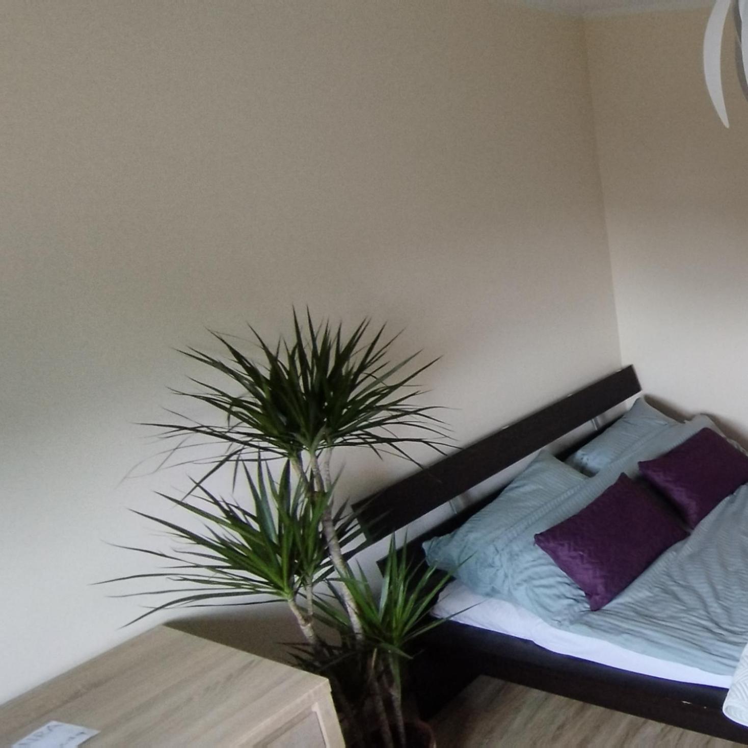 Apartament A8 Gdynia Orlowo Exteriör bild